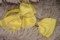 Бантики-резинки для волос, компл. 2 шт. желтые