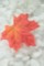 Листья кленовые, цв.Оранжевый, 25 шт.