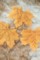 Листья кленовые, цв.Желтый, 25 шт.
