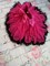 Пышная юбка американка Pettiskirt фукия с черными рюшами, 6-8 лет.