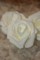 Роза декоративнаят (10 штук./комплект), диаметр 6 см., айвори.