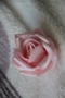 Роза декоративнаят (10 штук./комплект), диаметр 6 см., светло-розовая.