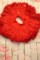 Юбка американка из гипюра, цвет красный, р.98-116