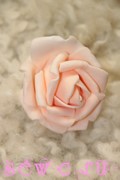 Роза декоративная, диаметр 6 см., персиковая.