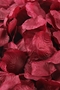 Лепестки розы искуственные, 100 шт./уп. цв. Бордовый